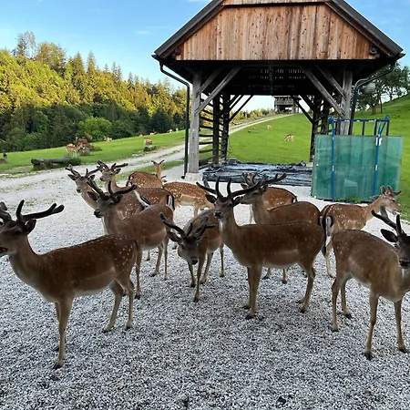 Glamping - Domacija Lampercek * Velenje