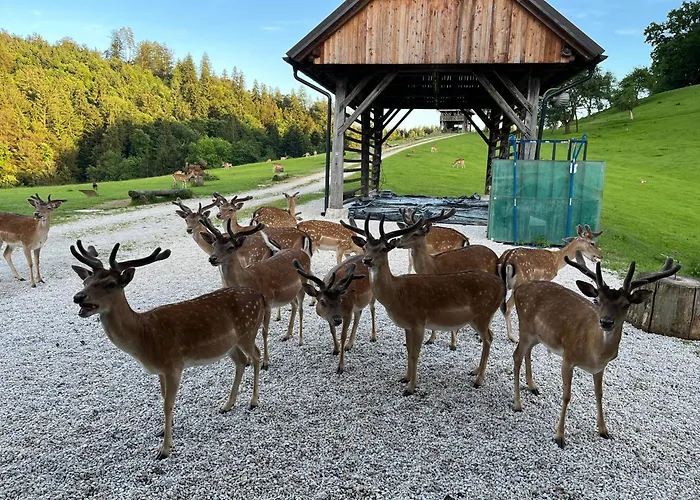 Glamping - Domacija Lampercek * Velenje